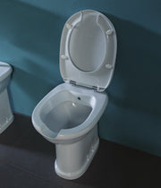 CONFORT WC-Bidet for accessible bathrooms – Alice Ceramica